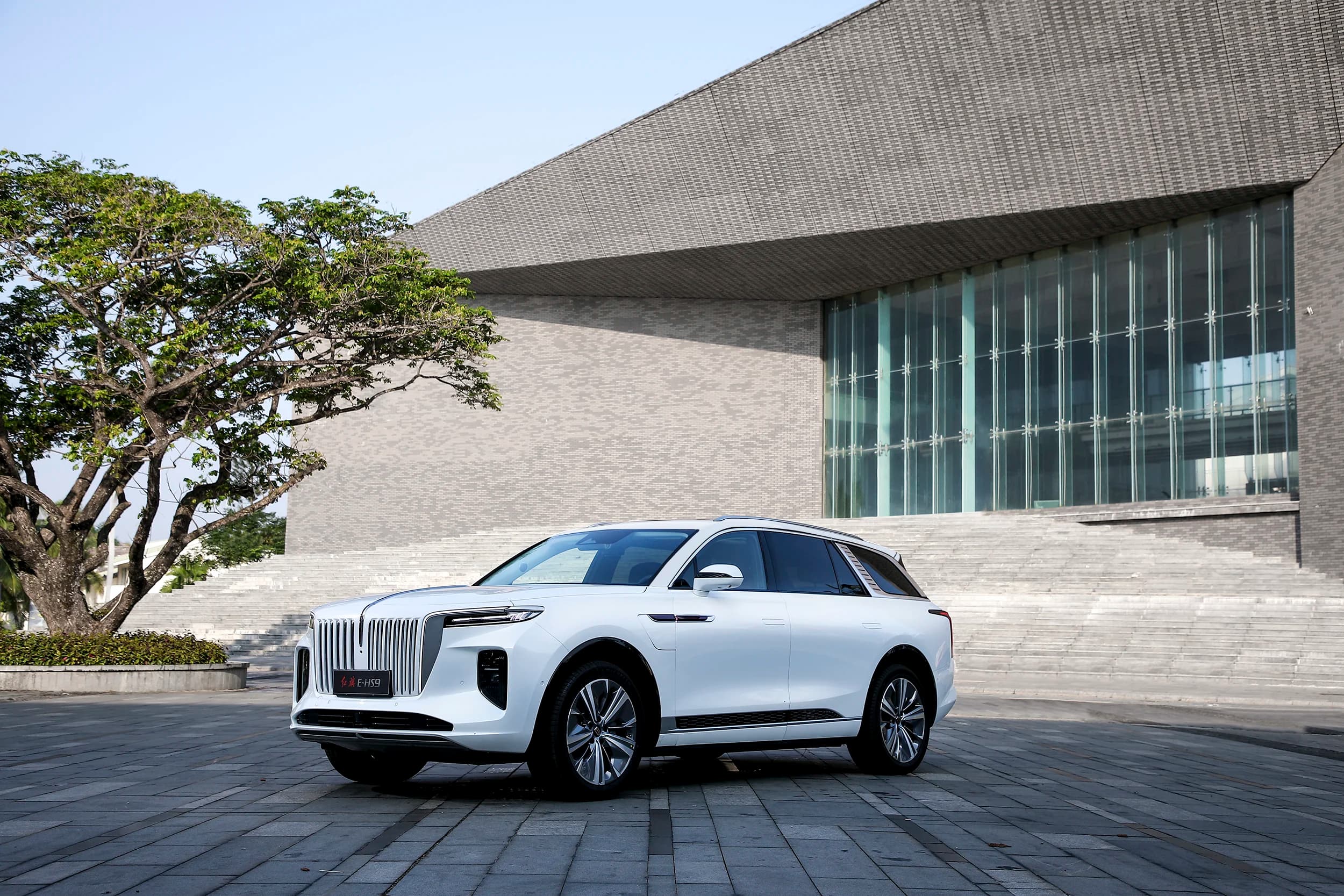 Silver Hongqi E-HS9 luxury SUV in motion on a palm-lined coastal road